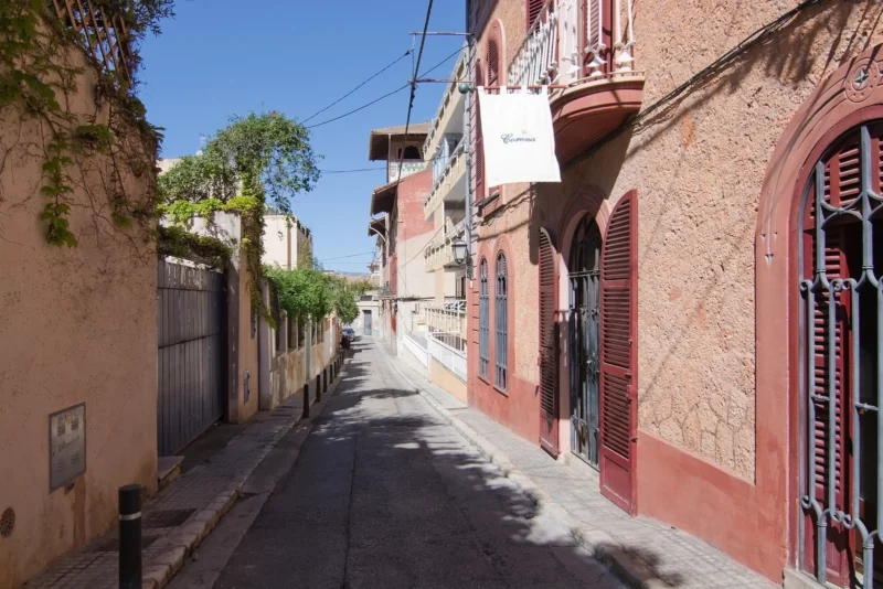 Rentals in Palma: El Terreno